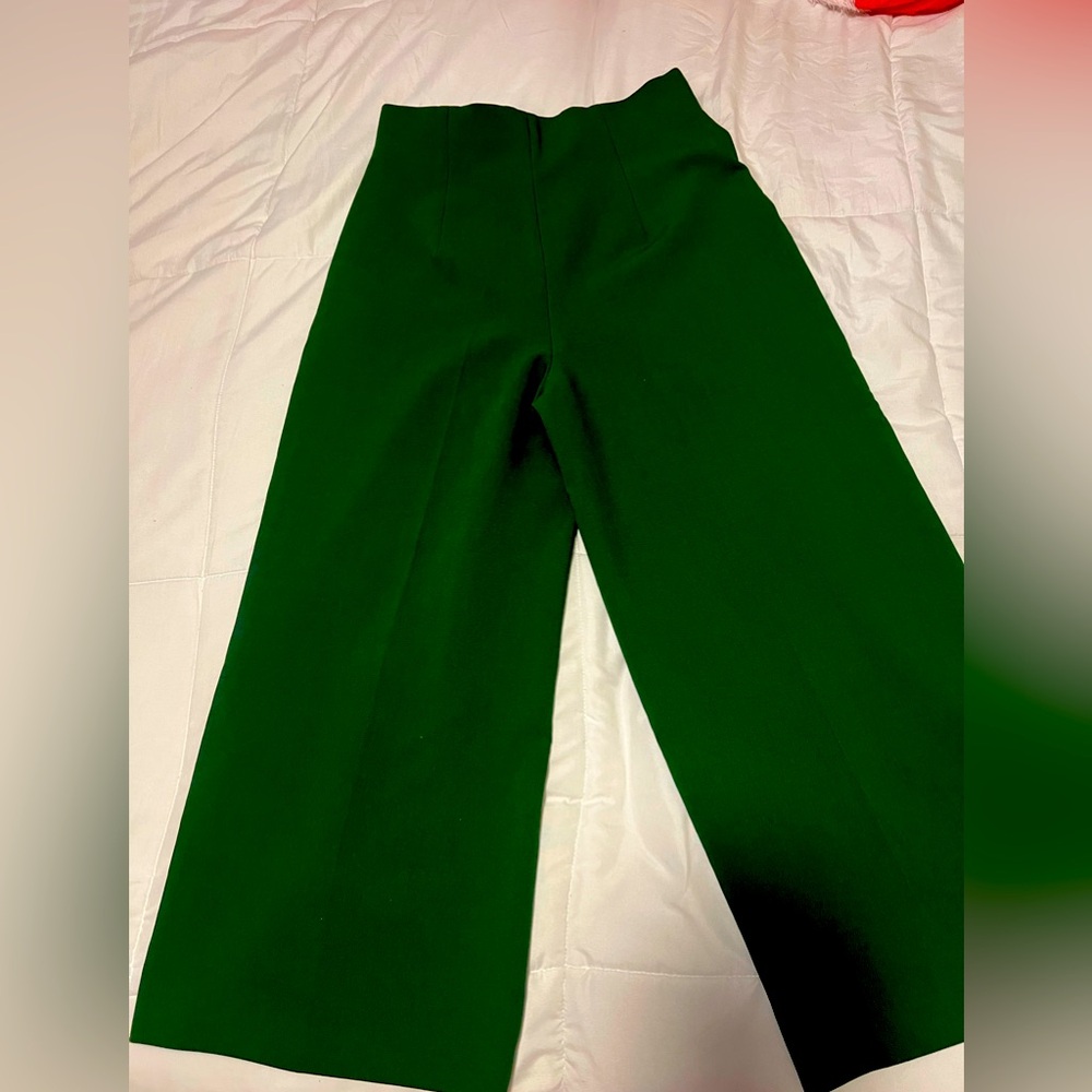 zara dressing pants size M new never worn